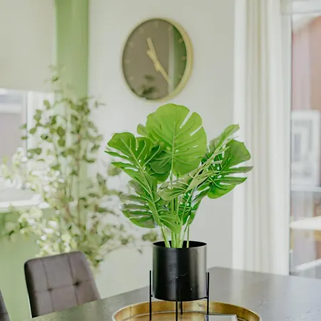 Oostergeest 2 By Interhome * Uitgeest